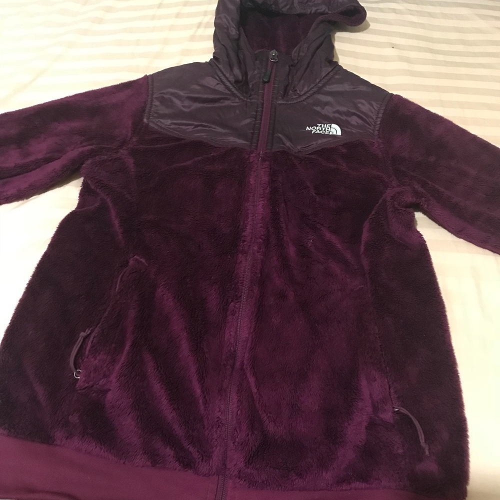 The north face jacket